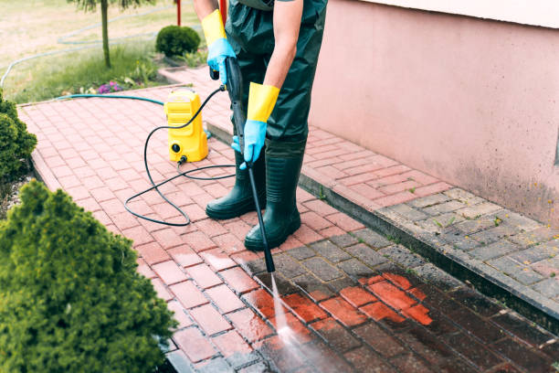 Solar Panel Cleaning in Park City, IL